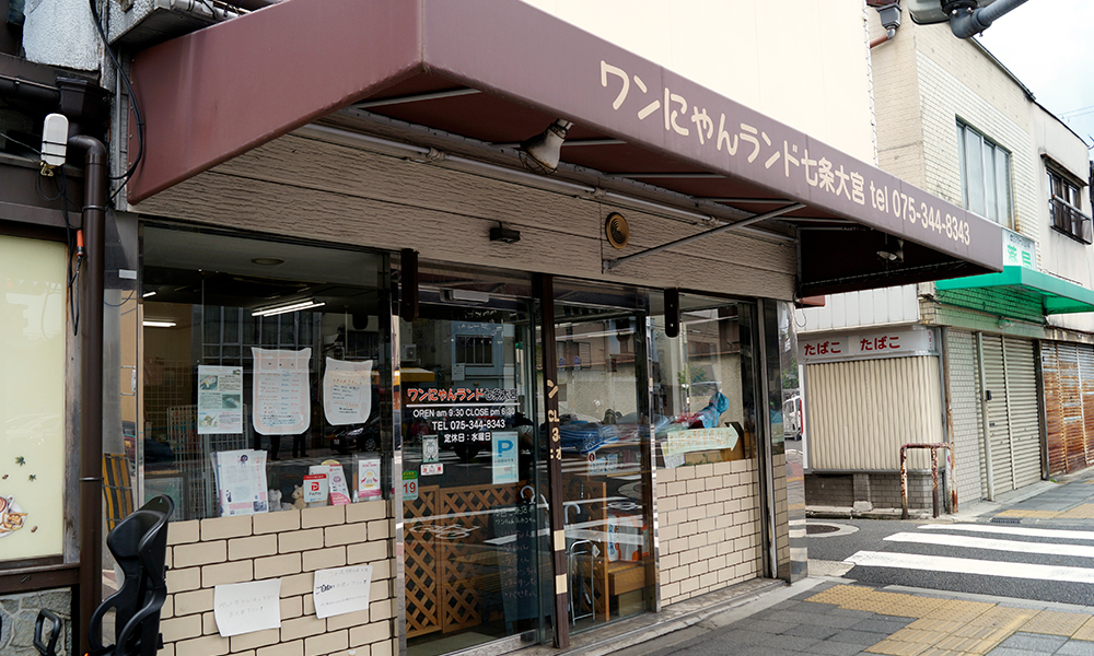 ワンにゃんランド七条大宮店